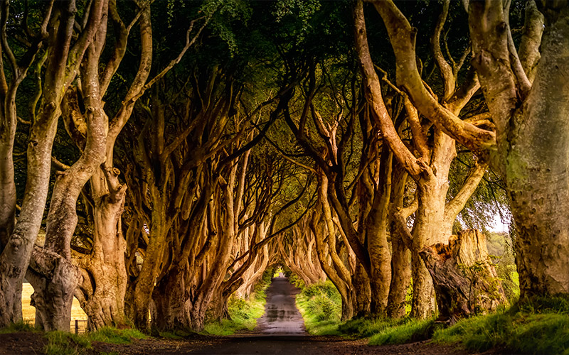 Game Of Thrones Locations Northern Ireland